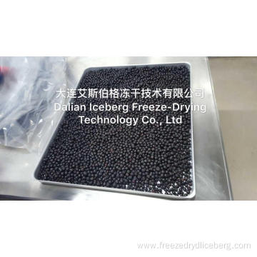 Blueberry Freeze Drying Machine